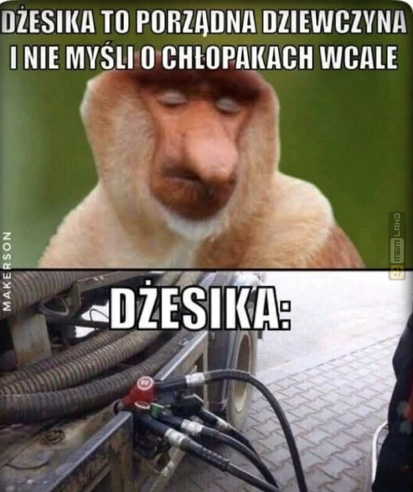 Śmieszny mem: 9395348 - MemLand