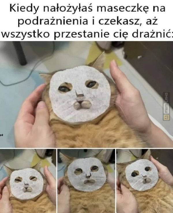 Śmieszny mem: 9396940 - MemLand