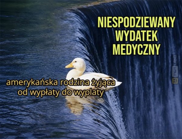 Śmieszny mem: 9397477 - MemLand