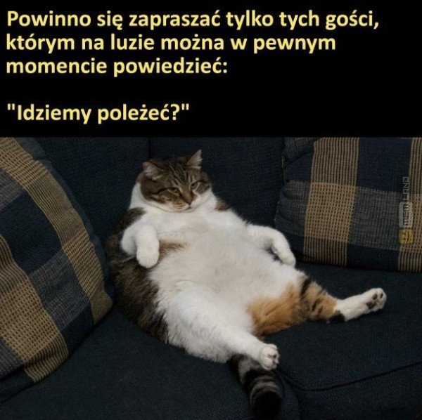 Śmieszny mem: 9400658 - MemLand