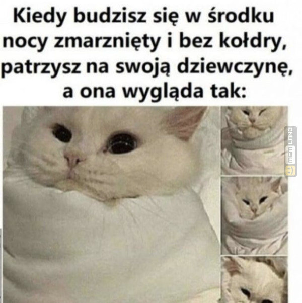 Śmieszny mem: 9402025 - MemLand