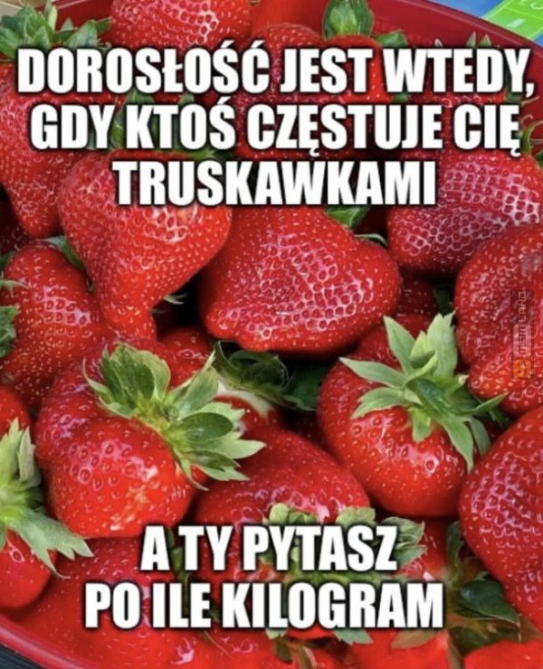 Śmieszny mem: 9403280 - MemLand
