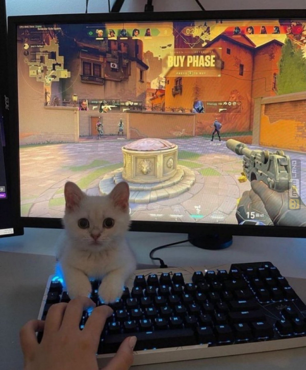 Śmieszny mem: 9410623 - MemLand