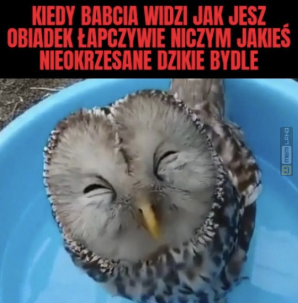 Śmieszny mem: 9414178 - MemLand