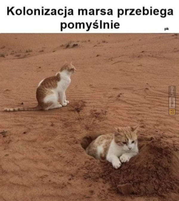 Śmieszny mem: 9417077 - MemLand