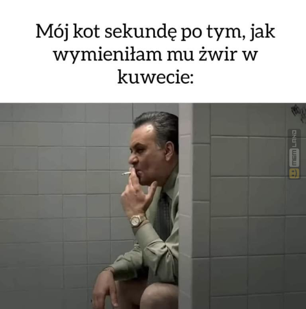 Śmieszny mem: 9420504 - MemLand