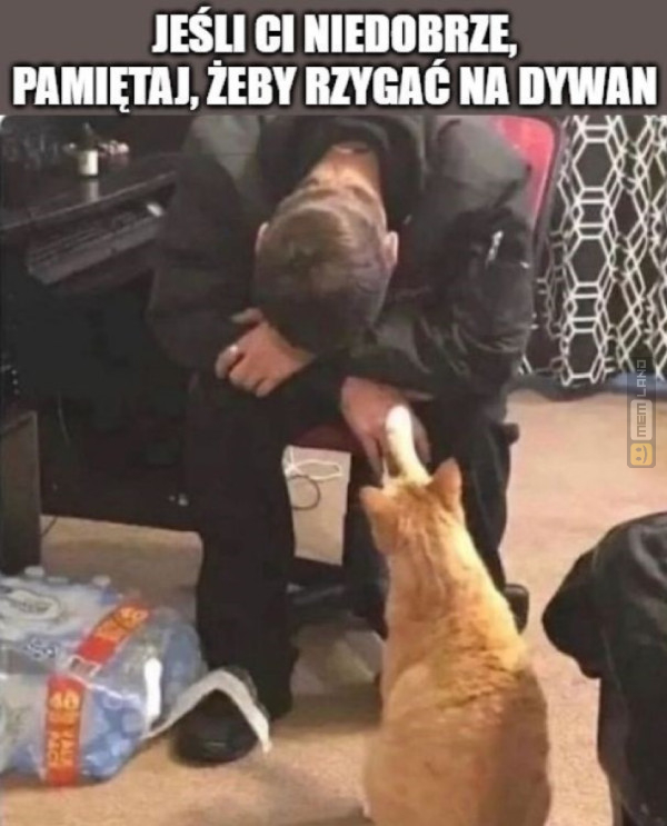 Śmieszny mem: 9422130 - MemLand