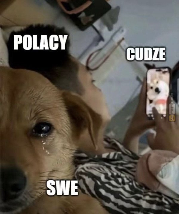 Śmieszny mem: 9426877 - MemLand