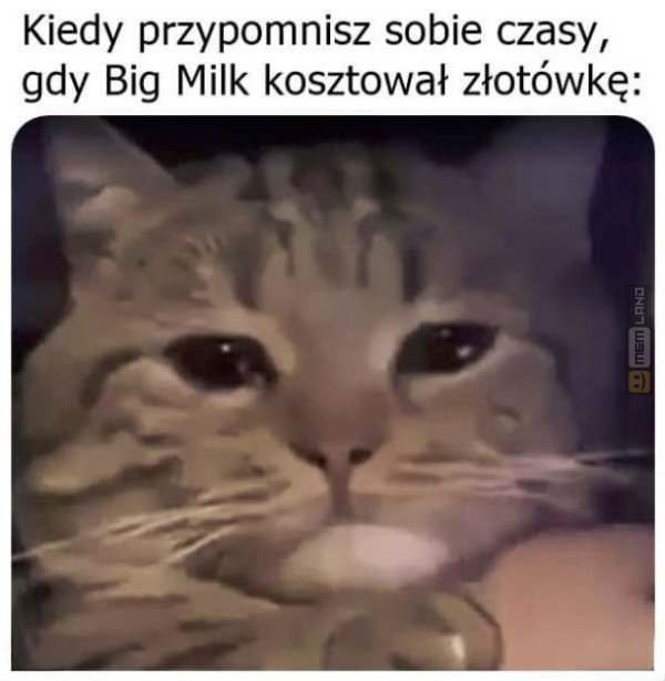 Śmieszny mem: 9430394 - MemLand