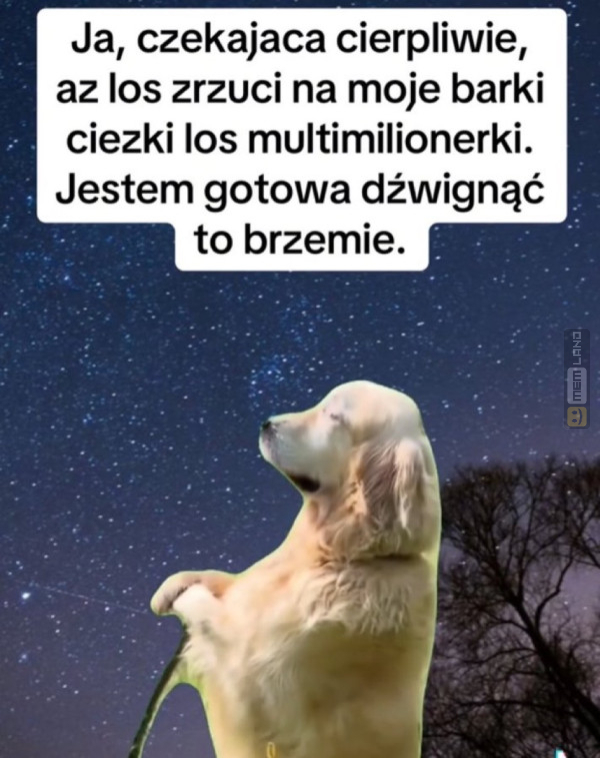 Śmieszny mem: 9432722 - MemLand