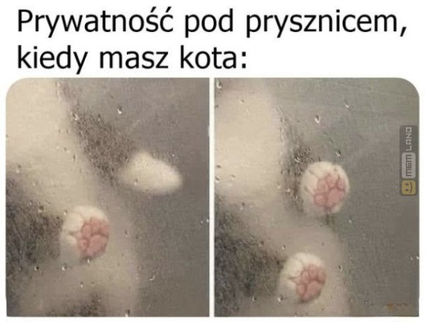 Śmieszny mem: 9435767 - MemLand