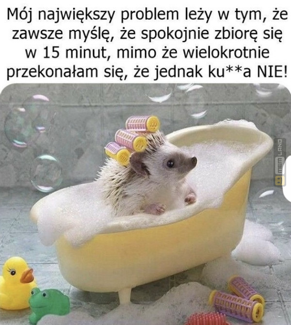 Śmieszny mem: 9439688 - MemLand