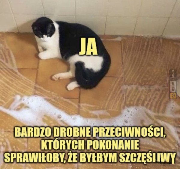 Śmieszny mem: 9446019 - MemLand