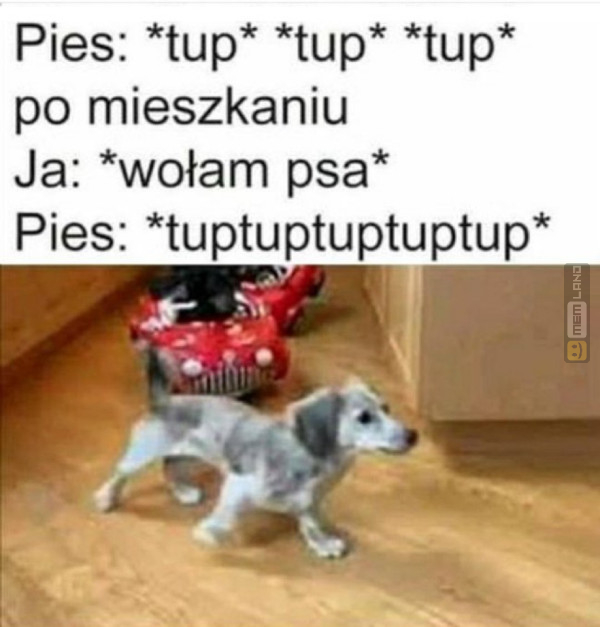Śmieszny mem: 9446380 - MemLand