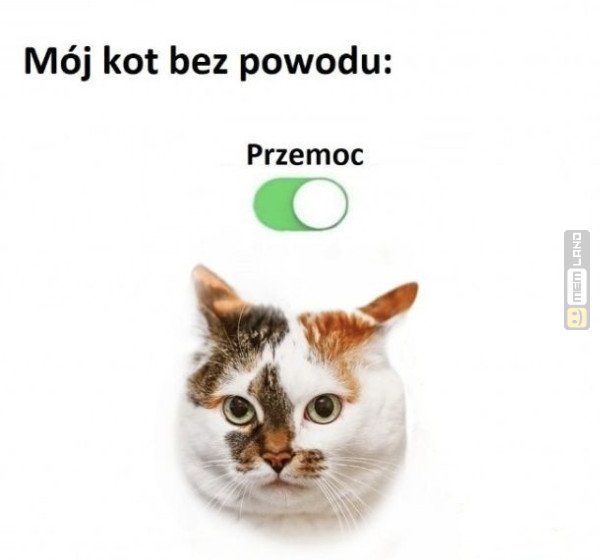 Śmieszny mem: 9456329 - MemLand