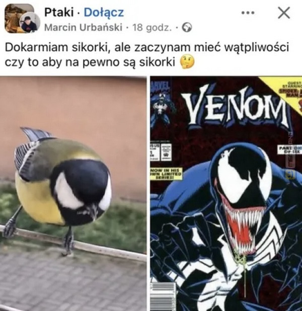 Śmieszny mem: 9458911 - MemLand