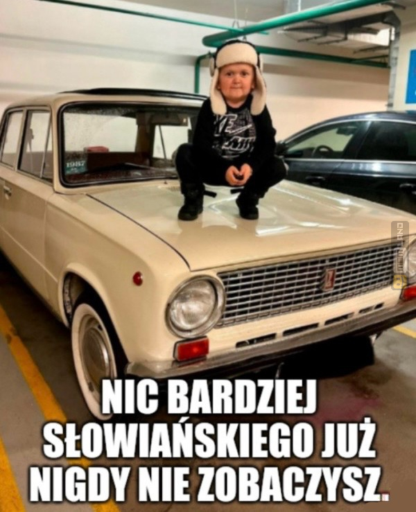 Śmieszny mem: 9468641 - MemLand