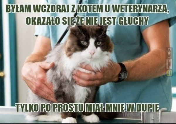 Śmieszny mem: 9472783 - MemLand