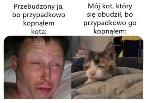 Śmieszny mem: 9474656 - MemLand