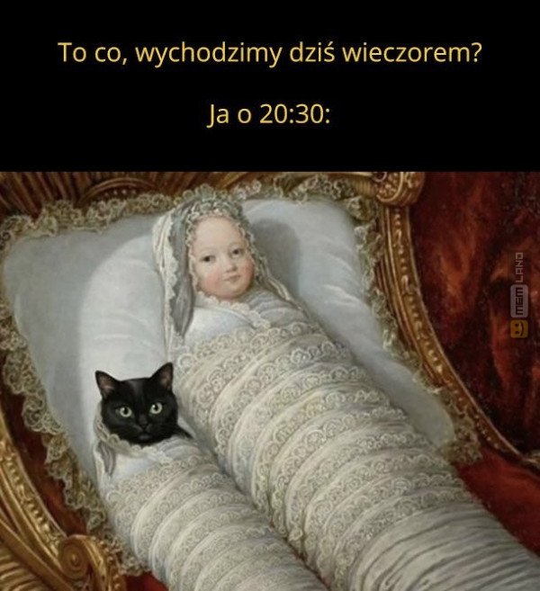 Śmieszny mem: 9480041 - MemLand