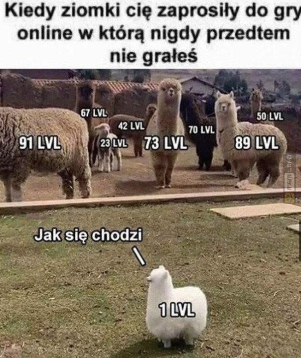 Śmieszny mem: 9482499 - MemLand