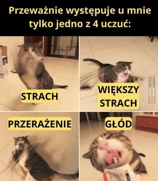 Śmieszny mem: 9489922 - MemLand