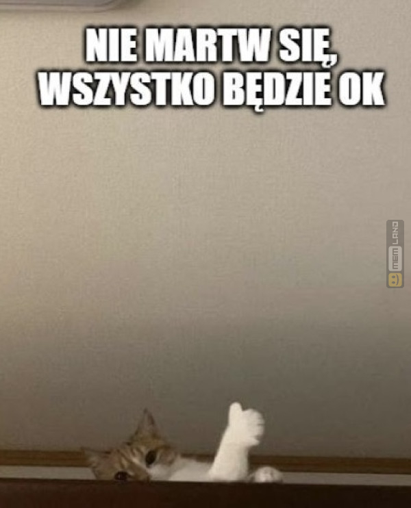 Śmieszny mem: 9496868 - MemLand