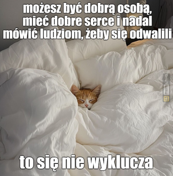 Śmieszny mem: 9498161 - MemLand