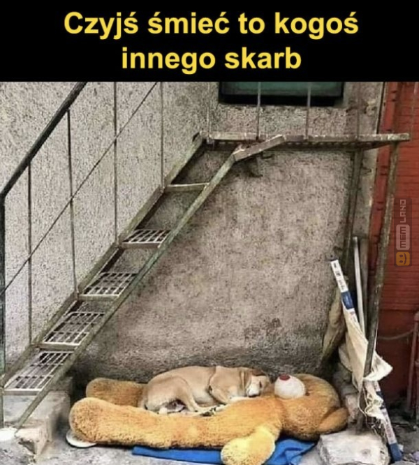 Śmieszny mem: 9500474 - MemLand