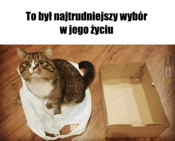 Śmieszny mem: 9512268 - MemLand