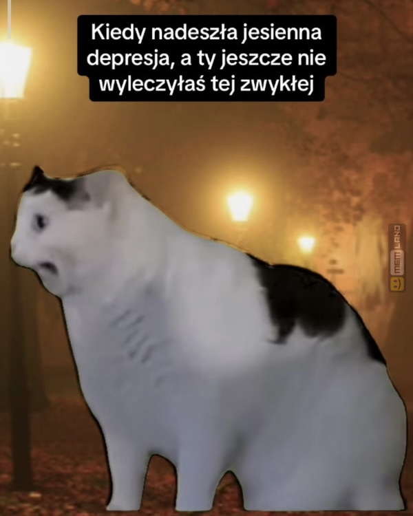 Śmieszny mem: 9520106 - MemLand