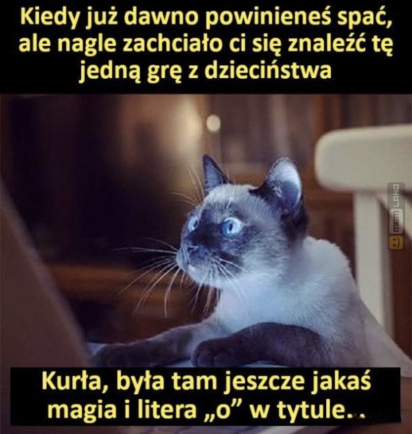 Śmieszny mem: 9529664 - MemLand