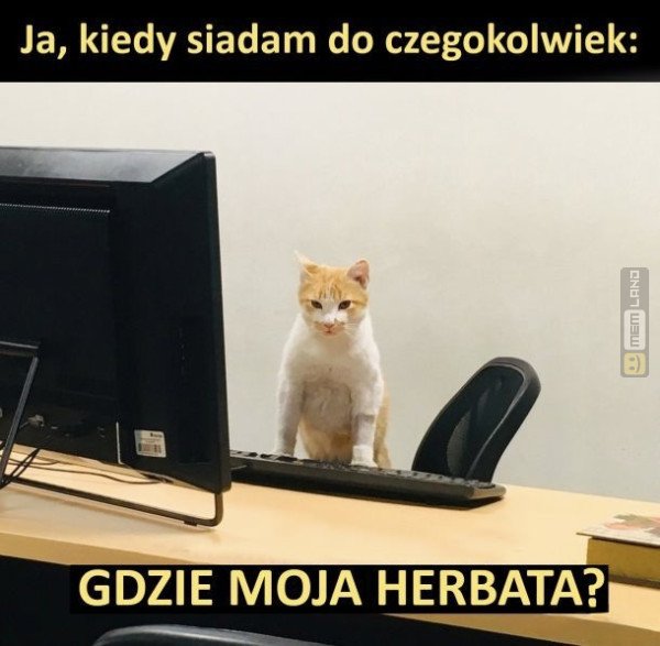 Śmieszny mem: 9532565 - MemLand