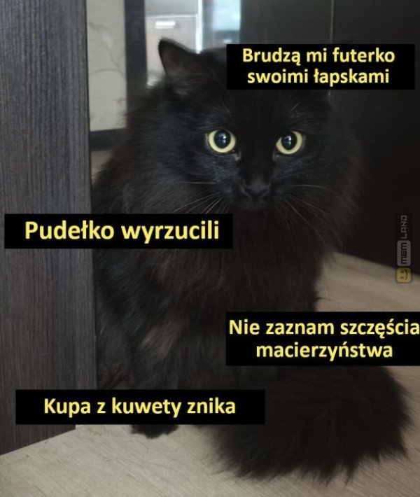 Śmieszny mem: 9534093 - MemLand