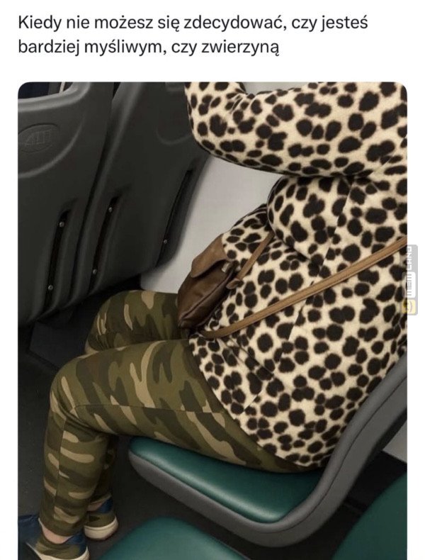 Śmieszny mem: 9534581 - MemLand