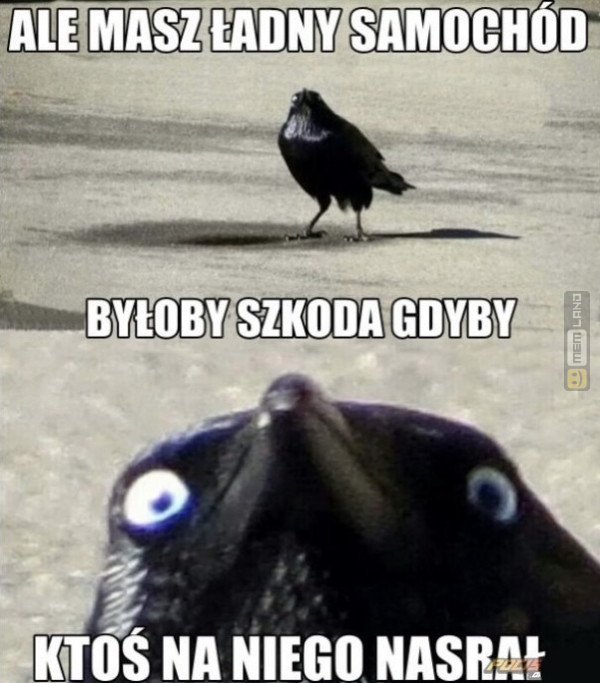 Śmieszny mem: 9548058 - MemLand