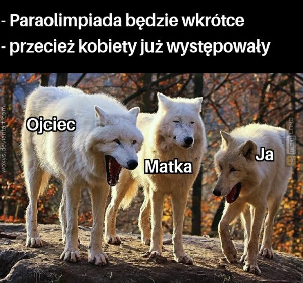 Śmieszny mem: 9549376 - MemLand