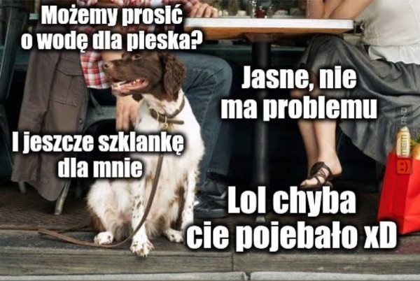 Śmieszny mem: 9565017 - MemLand