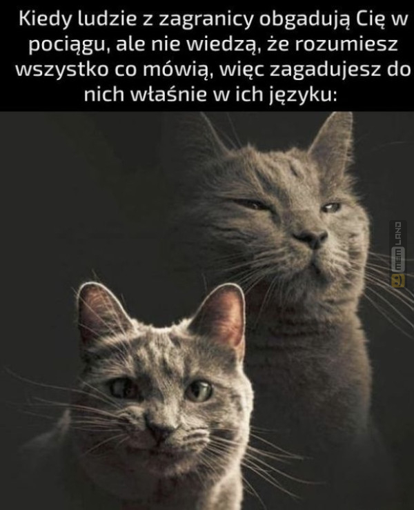 Śmieszny mem: 9570573 - MemLand