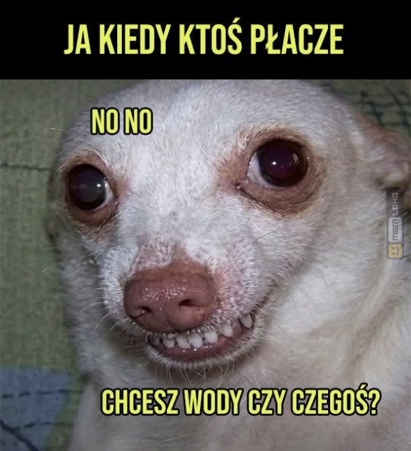 Śmieszny mem: 9570724 - MemLand