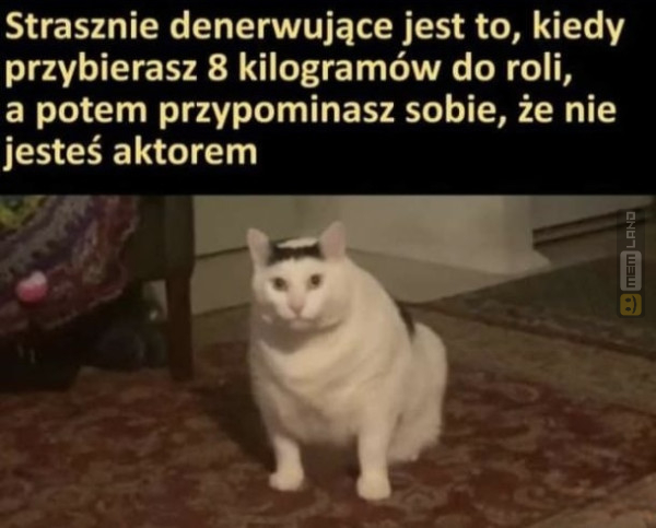 Śmieszny mem: 9571820 - MemLand