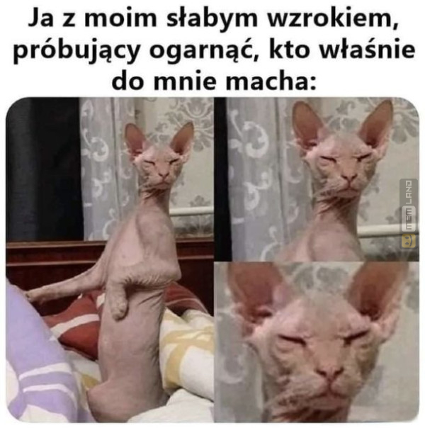 Śmieszny mem: 9591663 - MemLand
