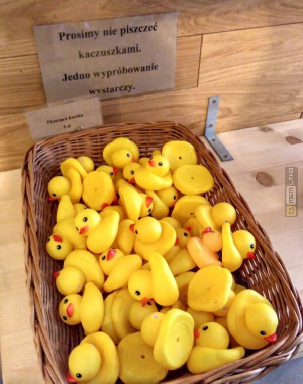 Śmieszny mem: 9599742 - MemLand