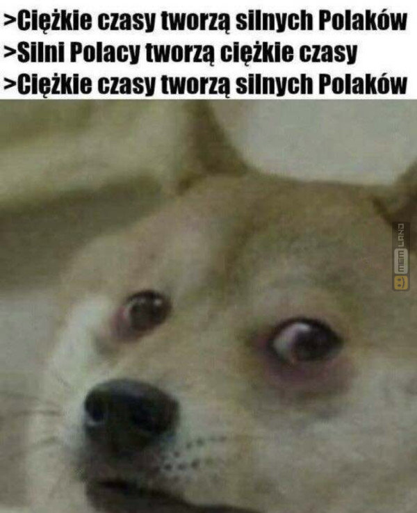 Śmieszny mem: 9602747 - MemLand