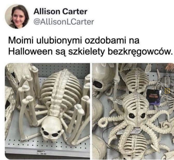 Śmieszny mem: 9604655 - MemLand