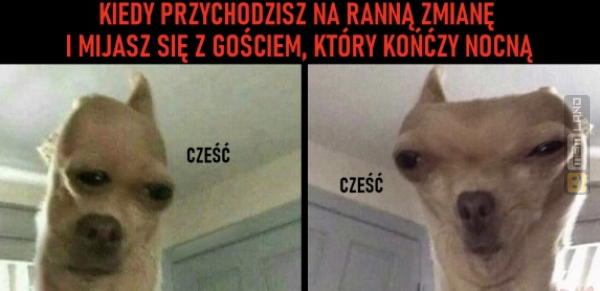 Śmieszny mem: 9613104 - MemLand