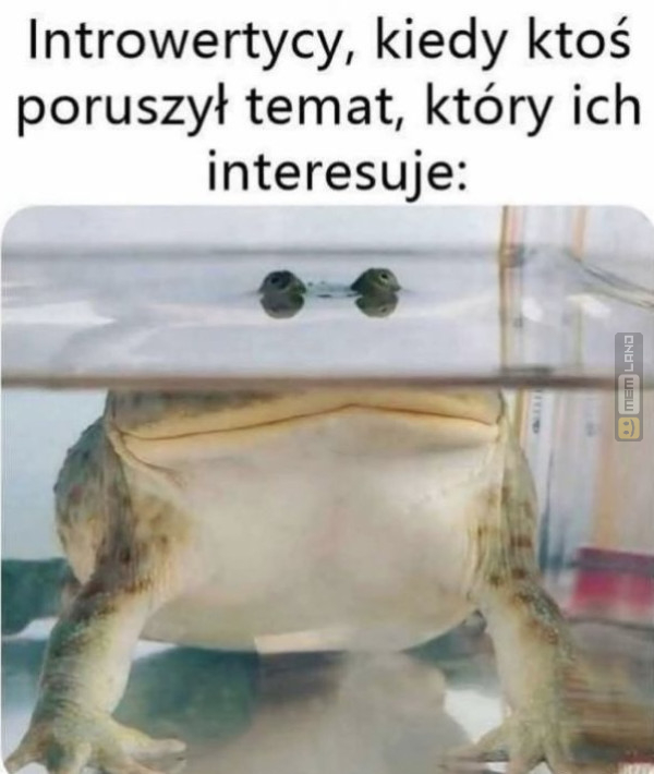 Śmieszny mem: 9613602 - MemLand