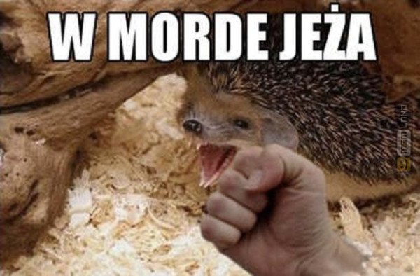 Śmieszny mem: 9617550 - MemLand