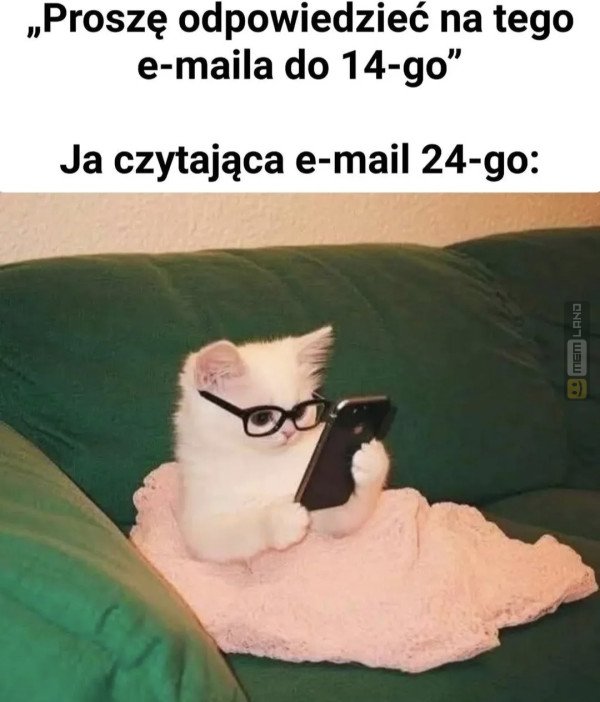 Śmieszny mem: 9619029 - MemLand