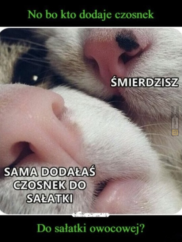 Śmieszny mem: 9620165 - MemLand